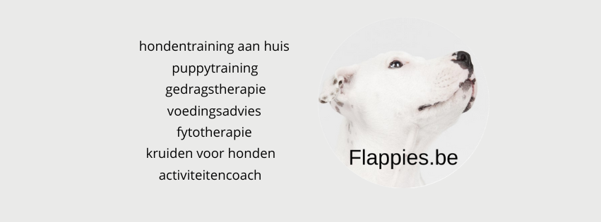 Flappies Hondentraining