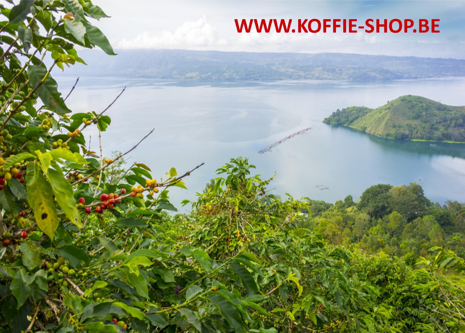 koffie-shop koffie-shop
