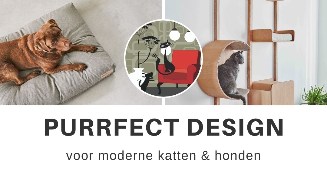 PurrFect Design, dierenwinkel