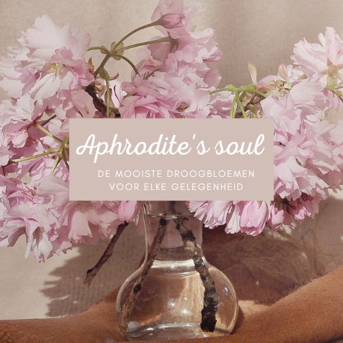 Aphrodite's soul droogbloemen Aphrodite's soul droogbloemen